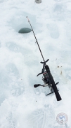 Eisfischen (7 von 7).jpg